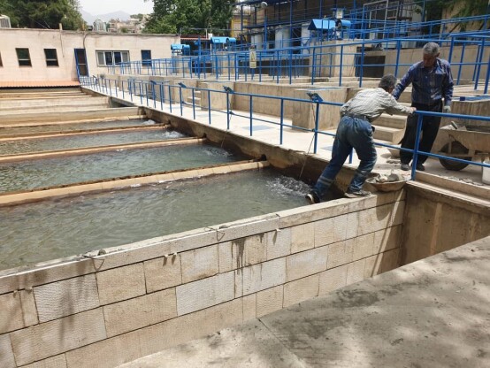 اجرای عملیات بازسازی و بهسازی تاسیسات شماره 1 کرج و احداث دیوار حائل و به اجرا درآوردن اقداماتی از قبیل بازسازی و بهسازی حوضچه های فیلتراسیون ،زیرسازی و رنگ آمیزی اتاق شیمیایی، بهسازی سنگ کف پیاده رو و جدولکاری،روکش آسفالت و لکه گیری،بهسازی پله ها،پوشش سقف ایستگاه پمپاژ و سقف مخزن کلروفیل و سقف مخزن گازوئیل،آسفالت سقف مخزن،لوله گذاری آب فضای سبز،اجرای سنگ درب ورودی و همچنین دیوار حائل جهت مهار دیوار اتاقک ترانس و ... از ریز امور این پروژه به خواست کارفرمای محترم اداره آب و فاضلاب استان البرز میباشد.