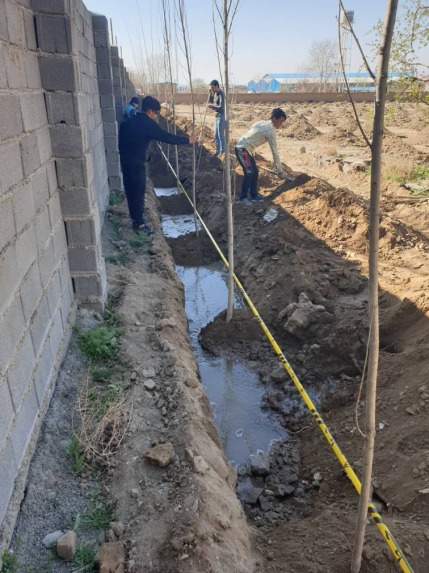 عملیات اجرایی نهالکاری و ابیاری قطره ای 